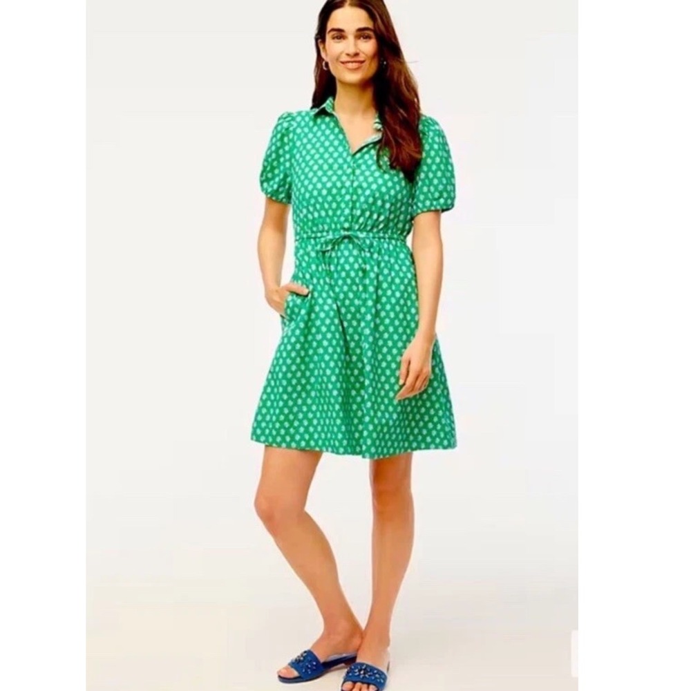 J.Crew Floral Size 6 Green Shirt Dress Classic Vacation Office Coastal Preppy